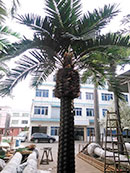 Декоративные пальмы FRP